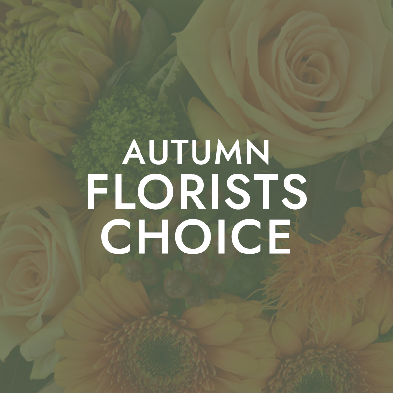 Autumn Florist Choice.